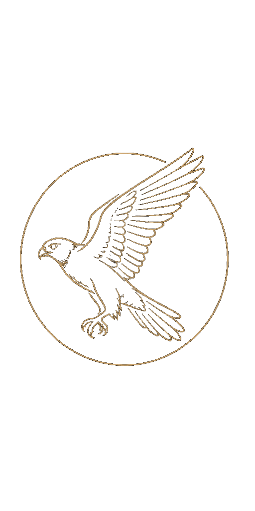 The Falcon